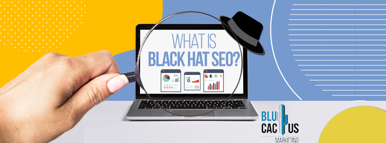 Blucactus-What-is-Black-Hat-SEO-cover-page