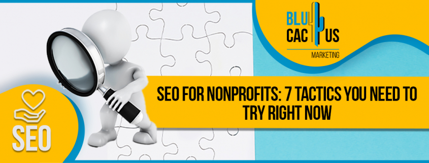 Blucactus-SEO-for-Nonprofits-7-Tactics-You-Need-to-Try-Right-Now-cover-page-1130×600-1-845×321