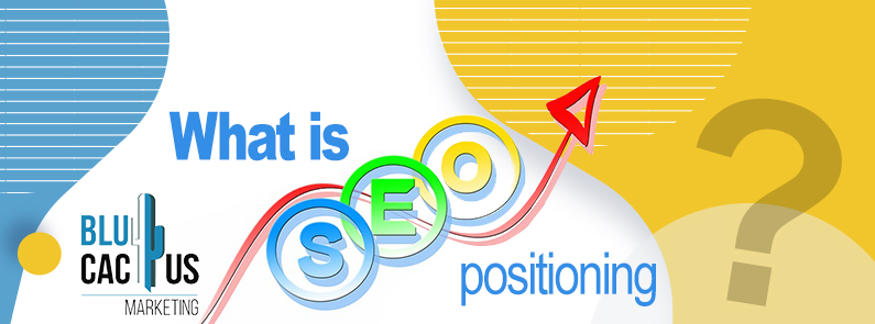 Blucactus-What-is-seo-positioning-Cover-page